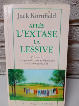 Kornfield APRÈS L'EXTASE, LA LESSIVE