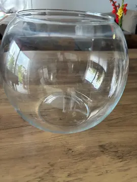 Aquarium boule