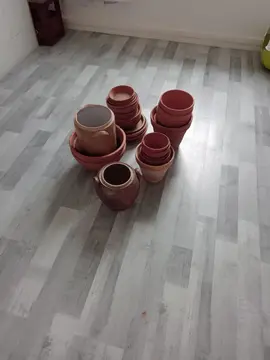 à donner pots de fleurs avec coupelles