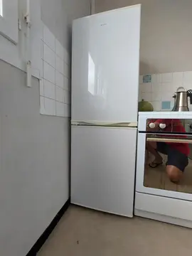 frigo