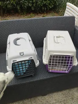 cage de transport chat ou petit chien