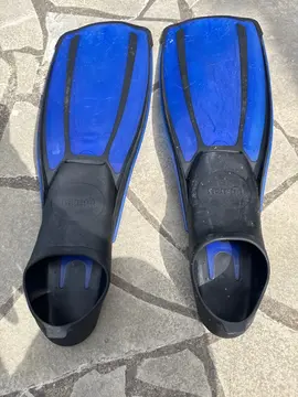 palme Mares taille 42 - 43