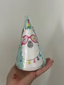6 chapeaux de fête