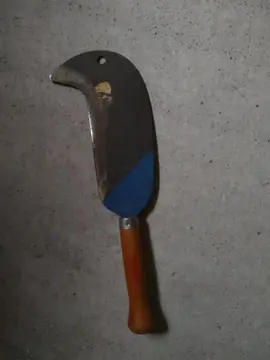 Serpe