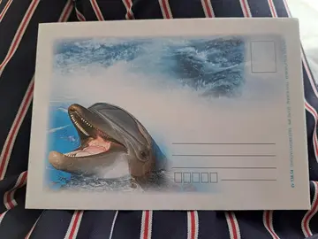 Enveloppes Dauphin