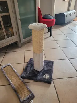 grattoir et arbre à chat