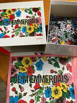 puzzle adulte 1000 pièces