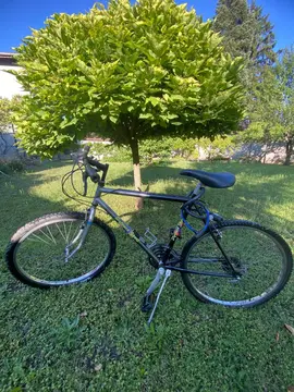 VTT
