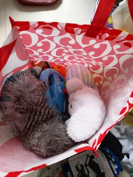 un sac de jouet