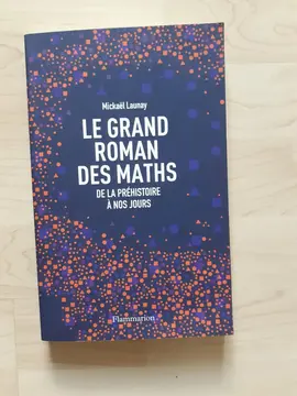 Livre le grand roman des maths