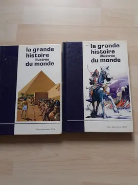 Livres La grande histoire illustrée du monde