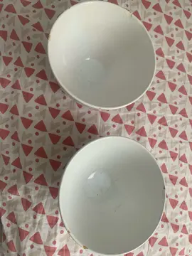 2 bols en porcelaine