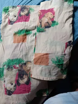draps