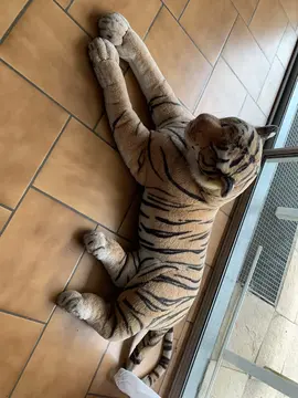peluche tigre