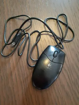 Souris fillaire
