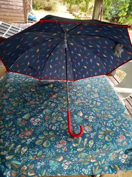 parapluie enfant dinosaures