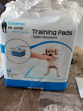 tapis d'apprentissage pour chiot