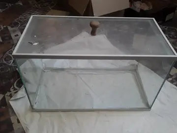 aquarium
