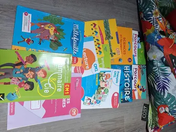 lot de manuel scolaire