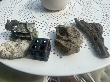 décoration aquarium