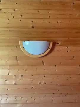 2 appliques murales en bois et verre