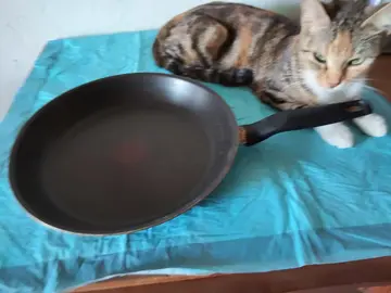 poêle Tefal