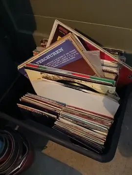 Lot de vinyles variété française et musette