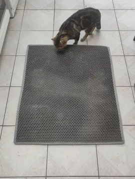 tapis litière chat