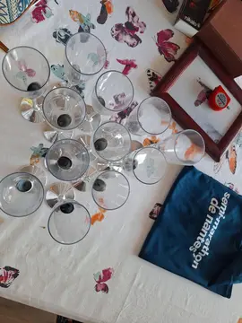 Coupes de Champagne plastique