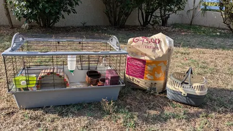 cage cochon d'inde ou lapin