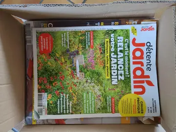 lot magazines