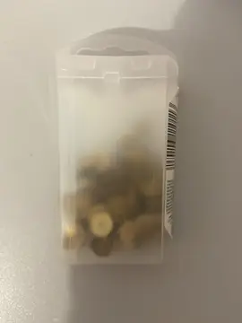 Punaises