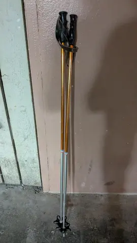 bâtons de ski