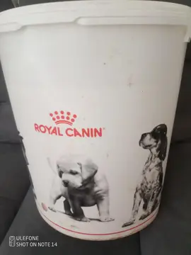 boite à croquettes