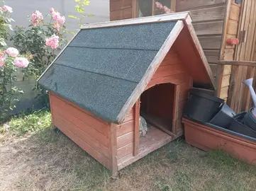 niche pour chien