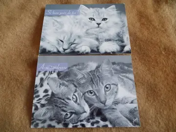 Cartes postales chats