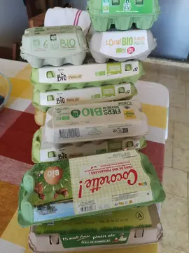 Boîtes d'œufs