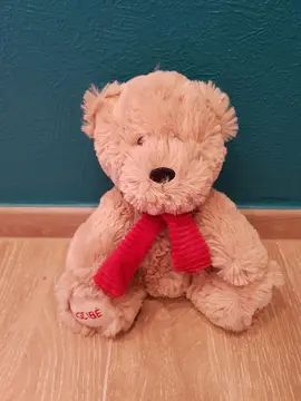 Peluche Ours