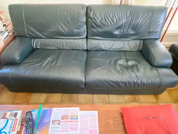 canapé en cuir salon