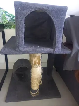 arbre à chat