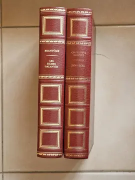 Lot de 2 livres anciens "Jane Eyre" et "Les dames galantes"