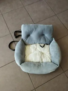 transport pour petit chien