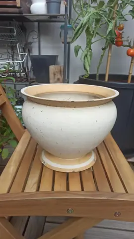 Pot /cache pot