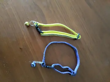 2 colliers pour chat