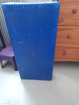 step bleu