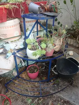 support à plantes