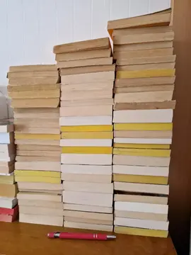 Lot de polars/thrillers
