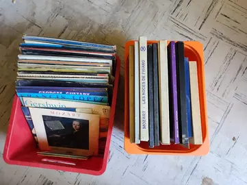 lot de vieux vinyls