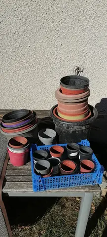 Pots pour semis fleurs arbustes