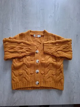 gilet